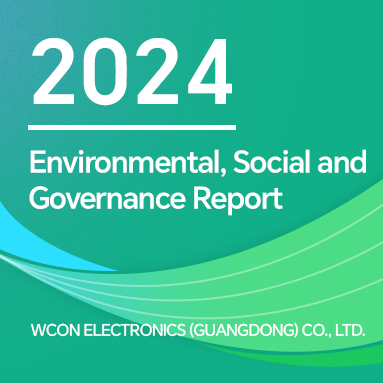 環(huán)境、社會和治理 （ESG） 報告